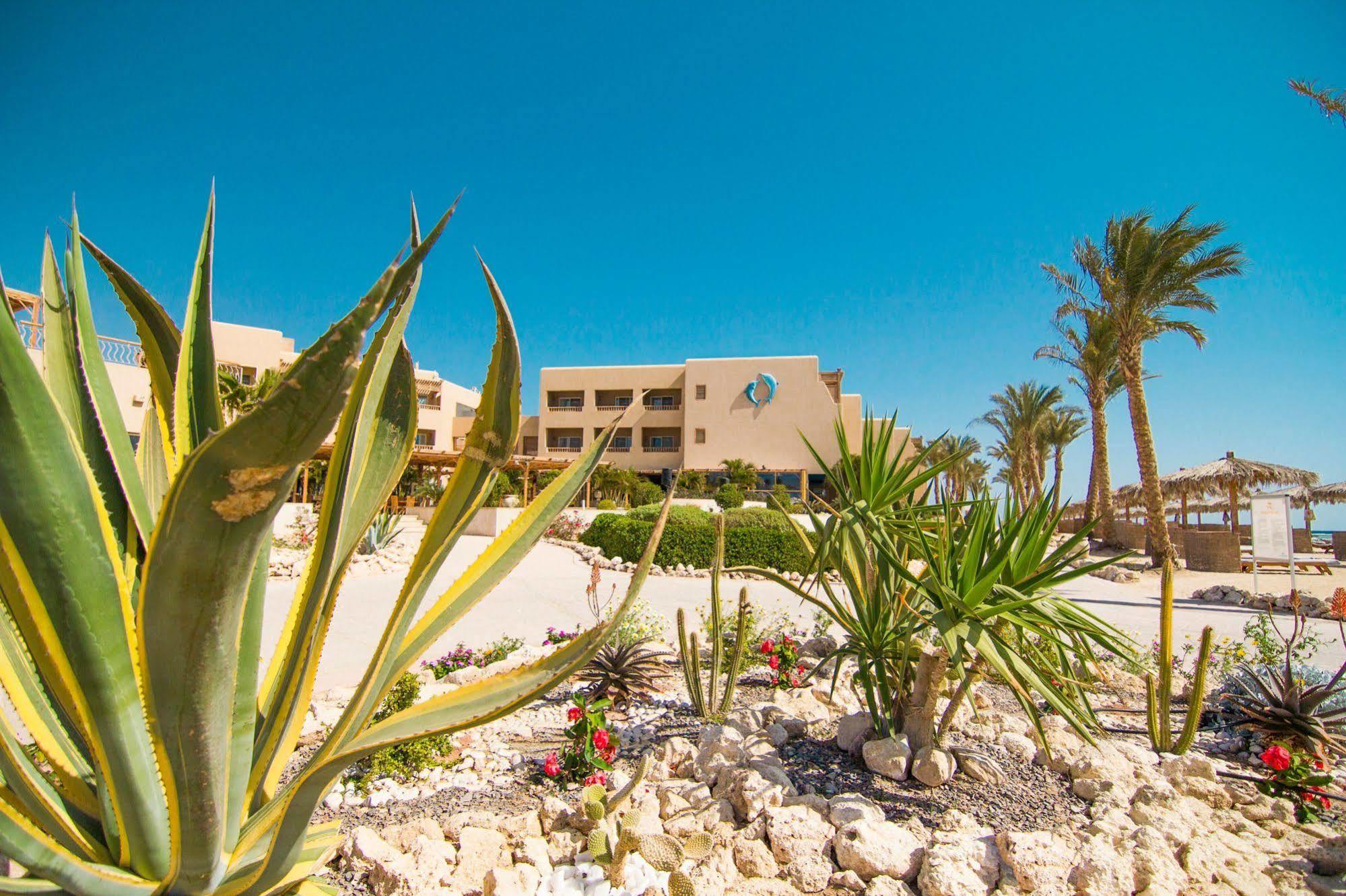 The Breakers Diving And Surfing Lodge Soma Bay Hurghada Eksteriør billede